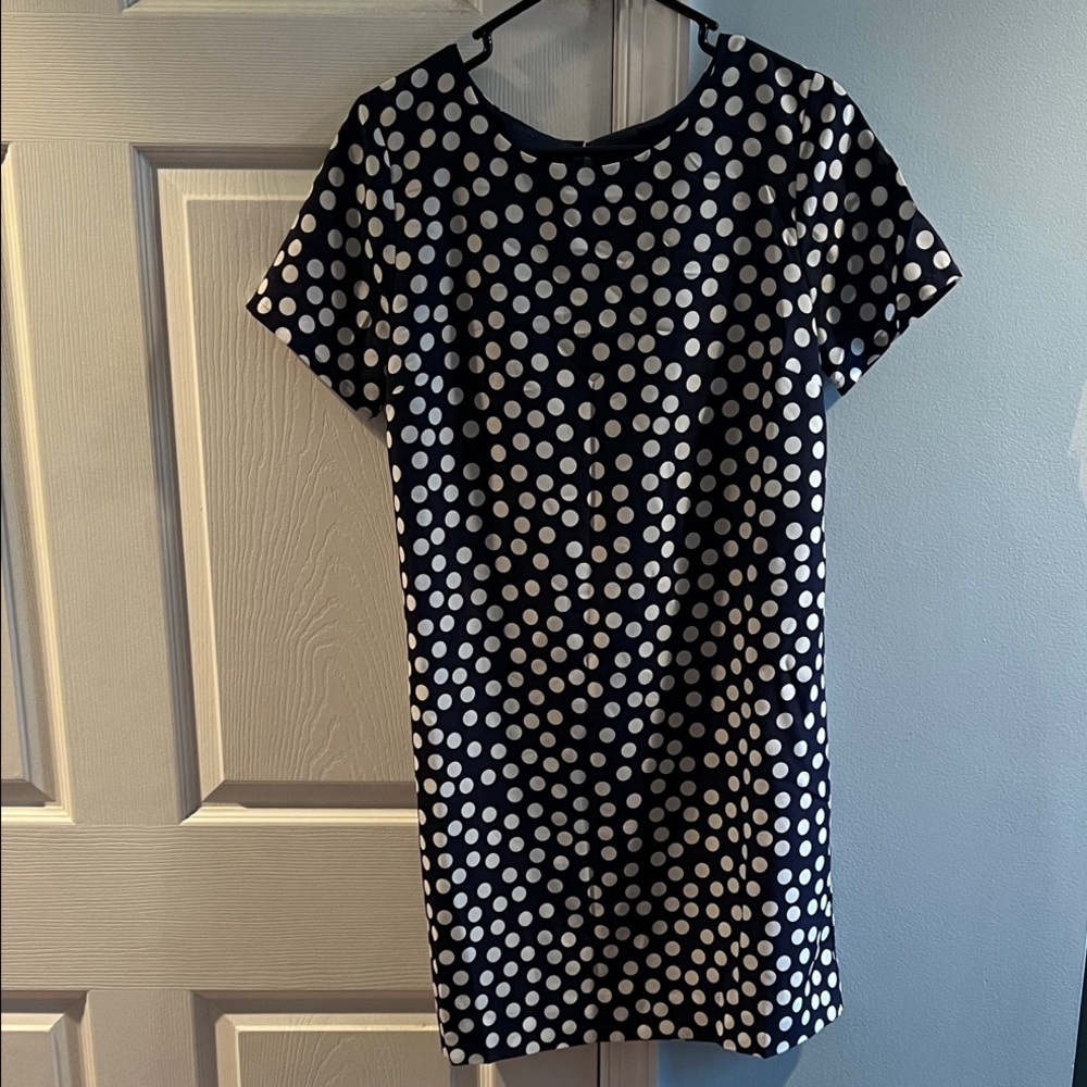 J. Crew Navy and White Polka Dot Mini Dress
